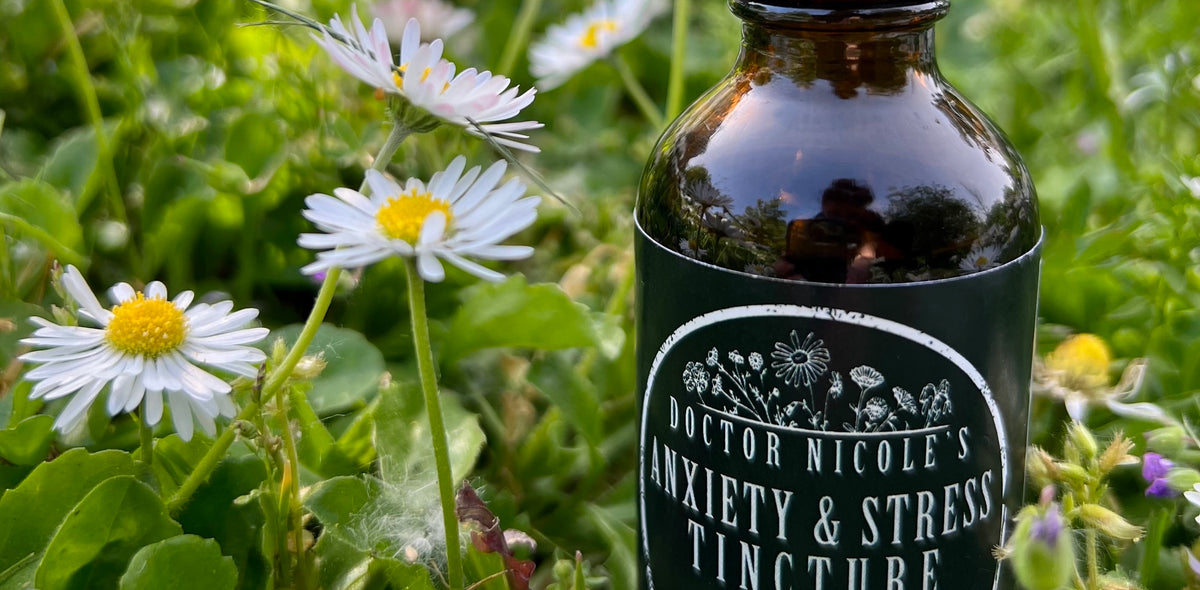 Buy 2 Get 1 Sale on our Bestselling Anxiety & Stress Tincture