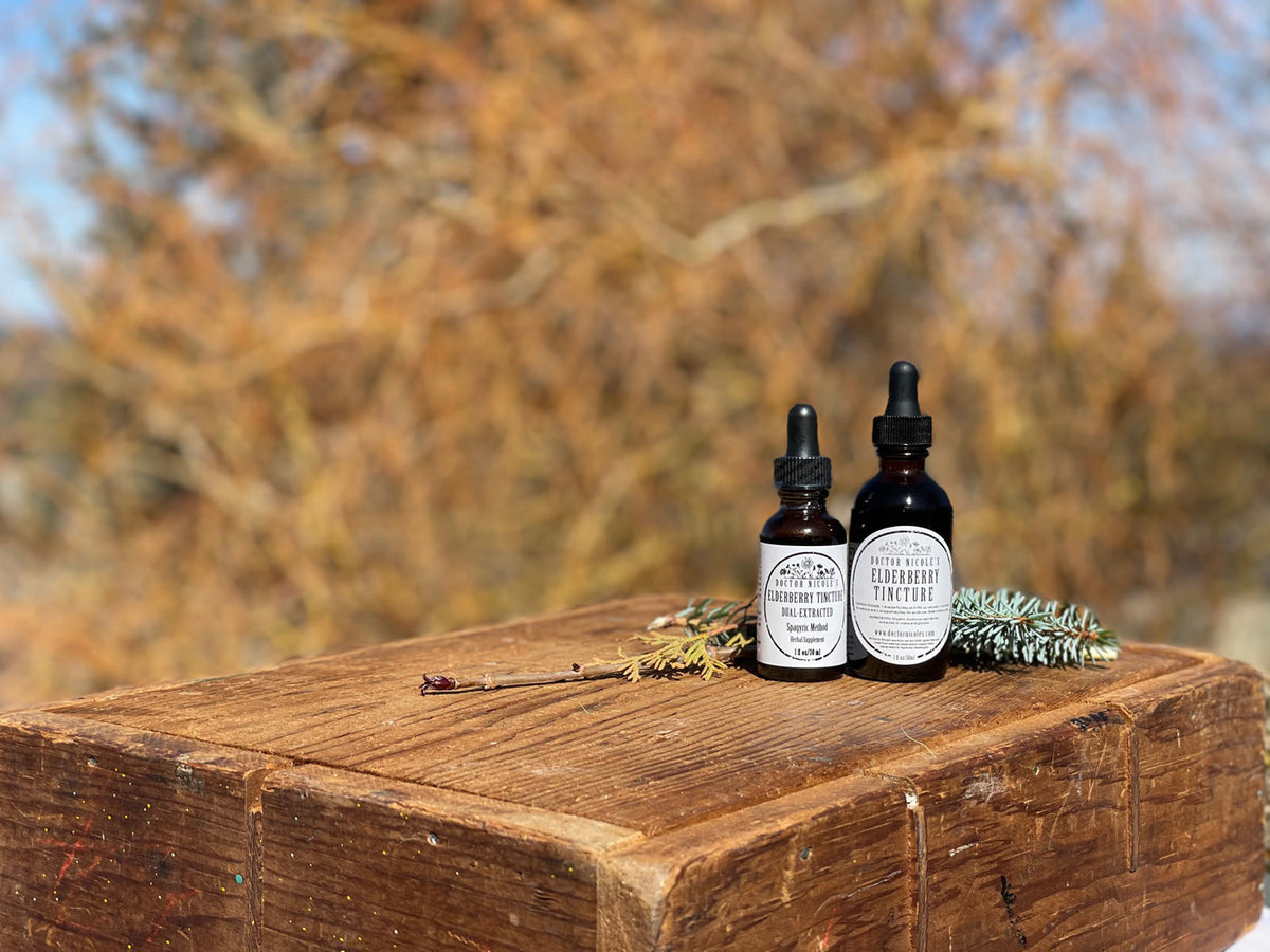 Our Power-Packed Elderberry Tincture is on Sale - Get 3 for the Price of 2