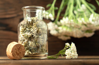 Buy 3 Yarrow Tinctures for the Price of 2