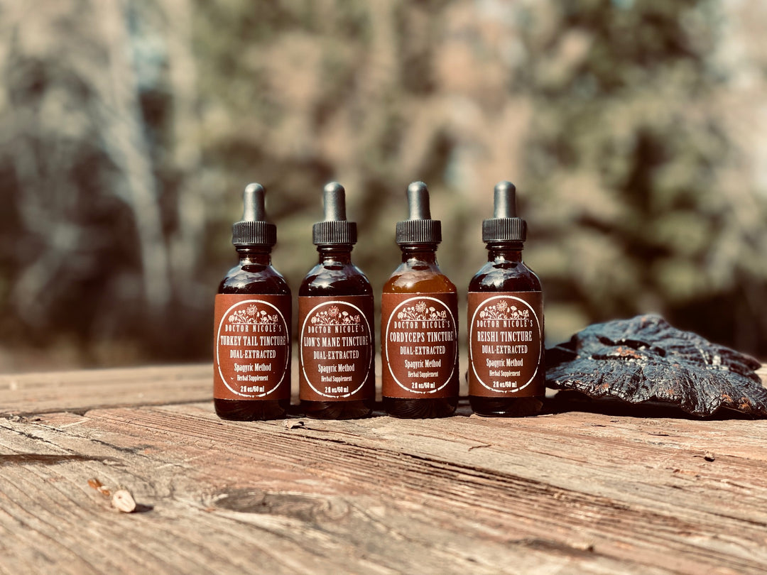 Autoimmune & Gut Support